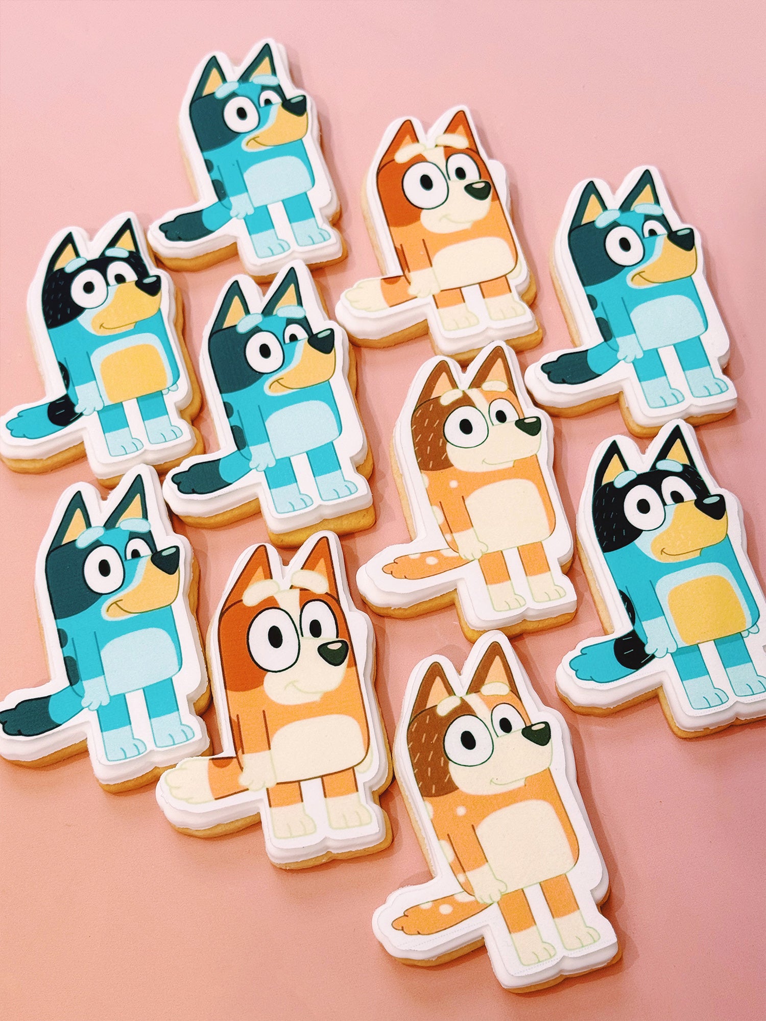 Bluey Cookies | Best Cartoon Bluey-Shaped Cookies Box Delivery Near Me - Sugar Rush by Steph Cute Bluey Printed Cookies, Baked In Melbourne For Children's Birthdays