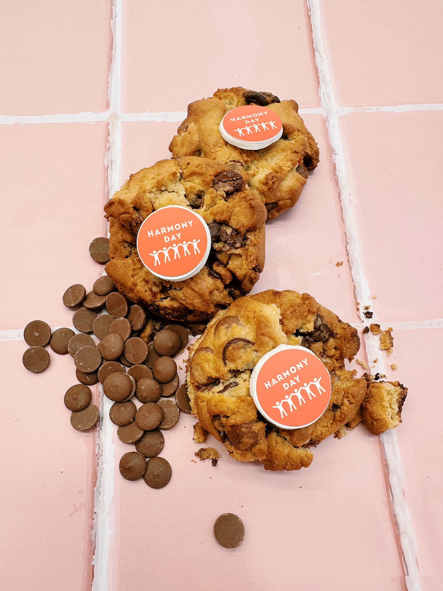 Harmony Day Cookies Australia Diverse Cookie Gifting Corporate Gifts - Sugar Rush by Steph - Cookies Australia Melbourne