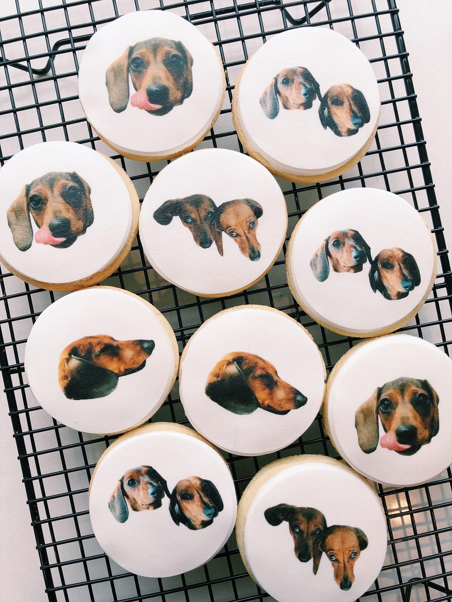 Cute Dog Photo Custom Biscuits Near Me | Sugar Rush by Steph Australia-wide Cookie Delivery Sugar Rush by Steph