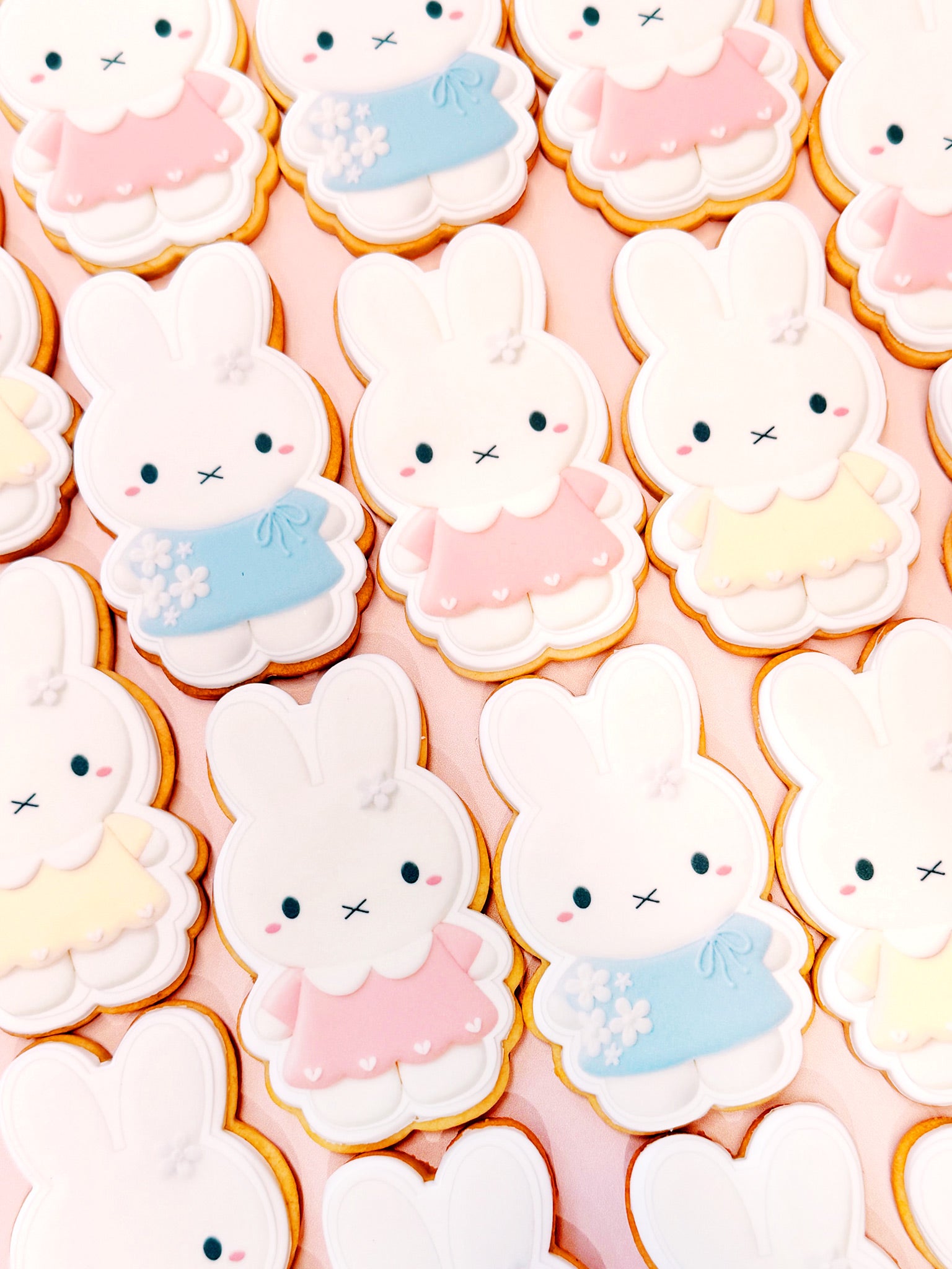 Cute Miffy Bunny cookies with colorful clothing on a pink background | Cute Miffy Bunny Cookies | Personalised Party Gifts & Cookie Favours - Sugar Rush by Steph Biscuit Box Delivery Australia-wide