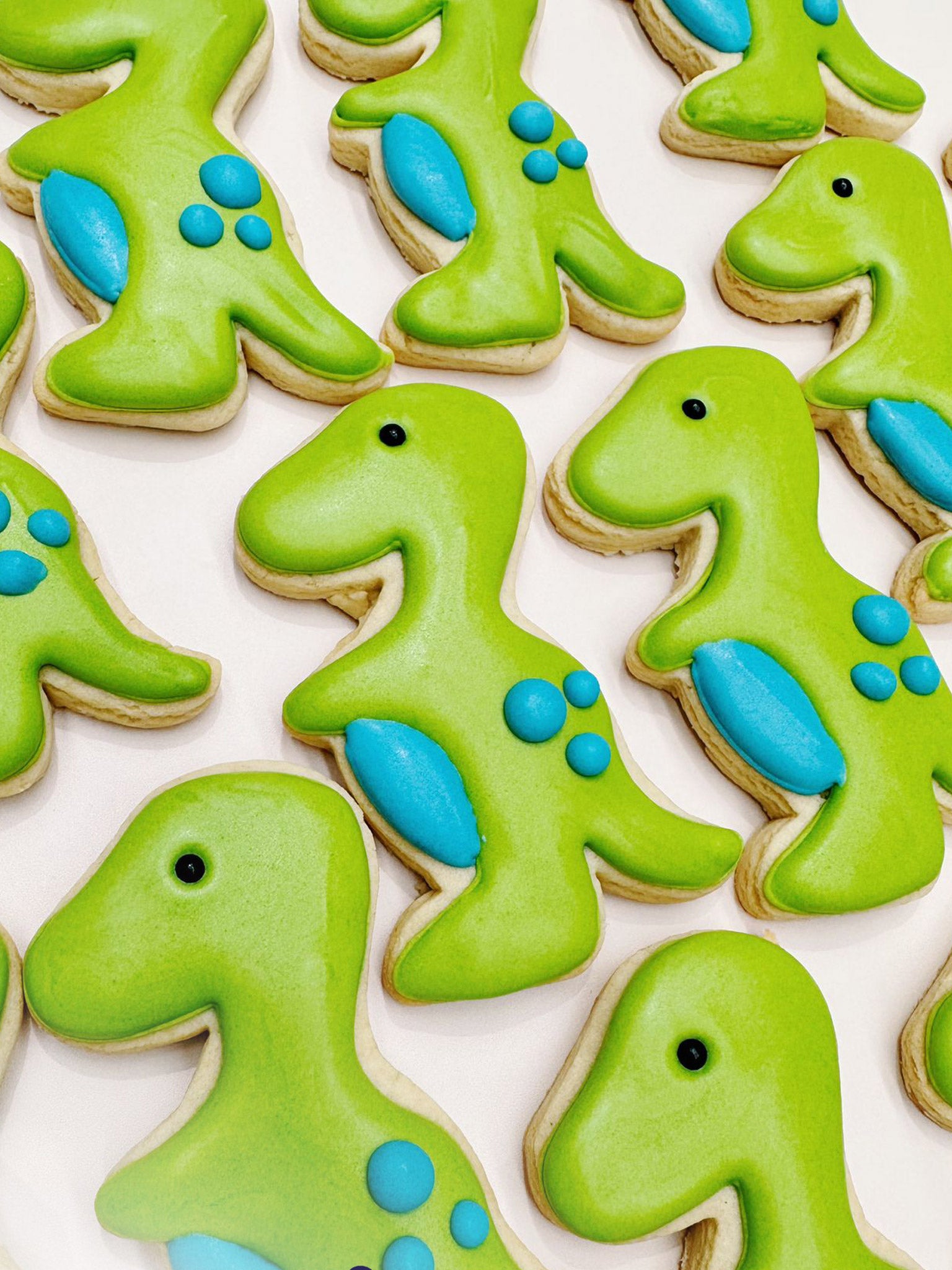 Rawrsome Dino Cookies | Cute Dinosaur Theme Royal Icing Biscuits