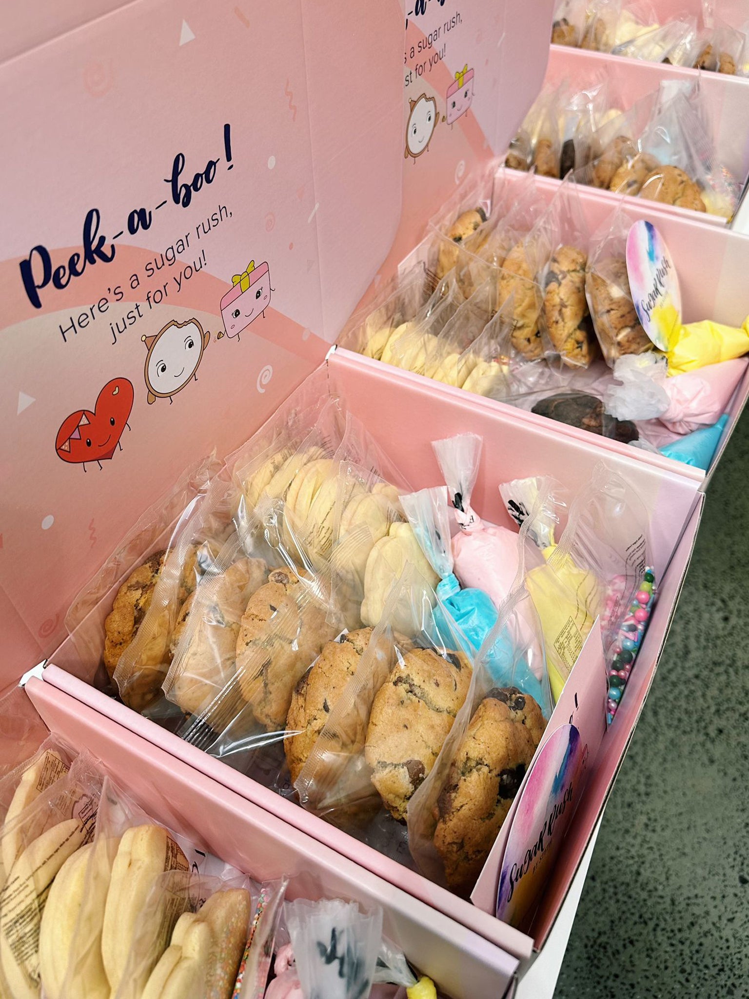 Farm Animal DIY Icing Cookies | DIY Animal Cookies for School Holiday Activites