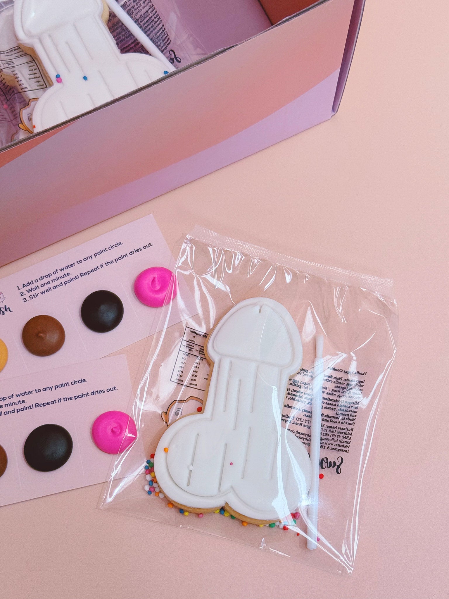 Paint Your Own Cheeky Cookies | Funny DIY Cookie Box for Adults - Sugar Rush by Steph Best Hen's Party Custom Cookie Box Delivery Australia Near Me