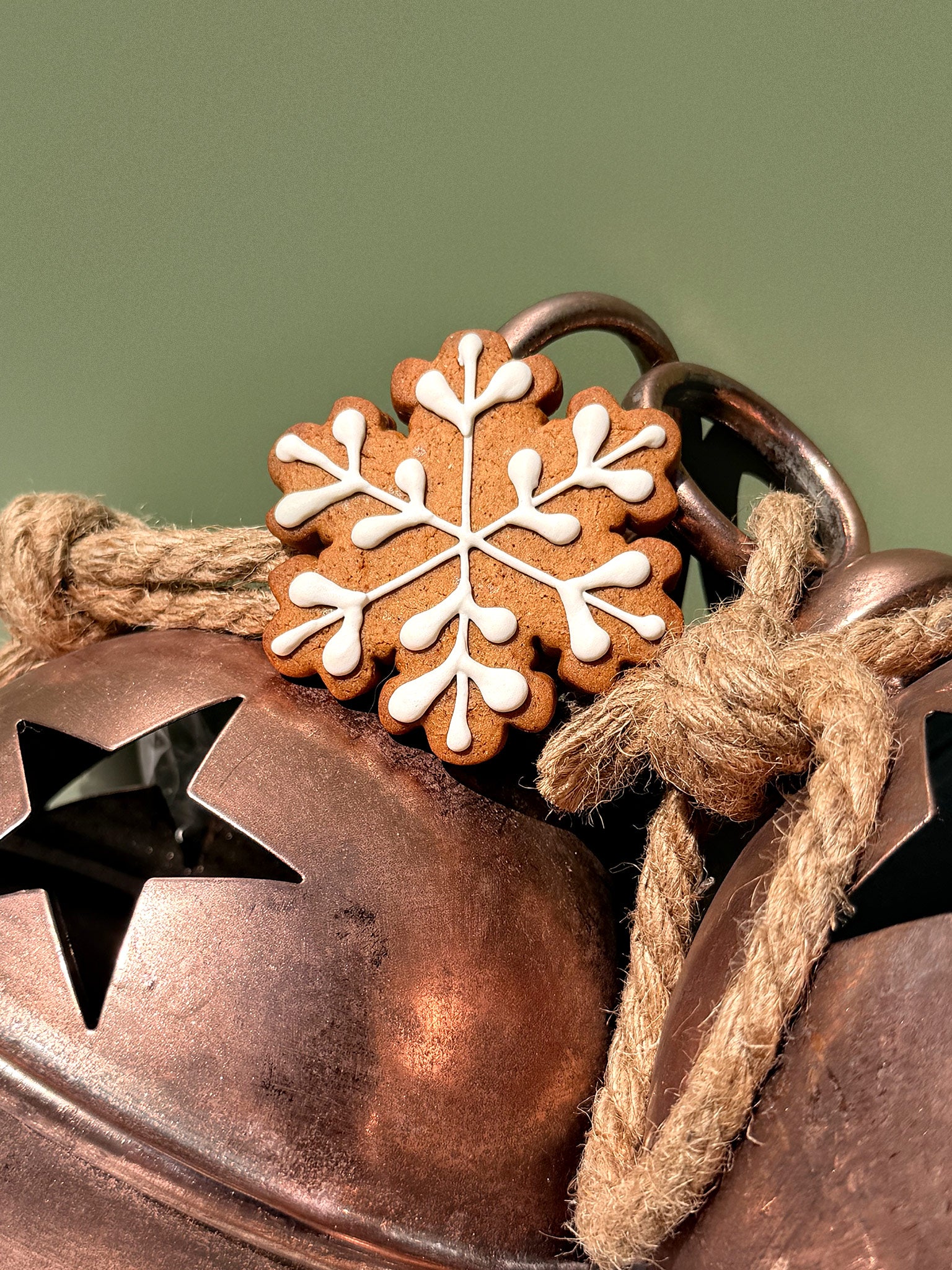 Gingerbread Snowflake Cookies | Royal Icing Christmas Gingerbread Cookie Box