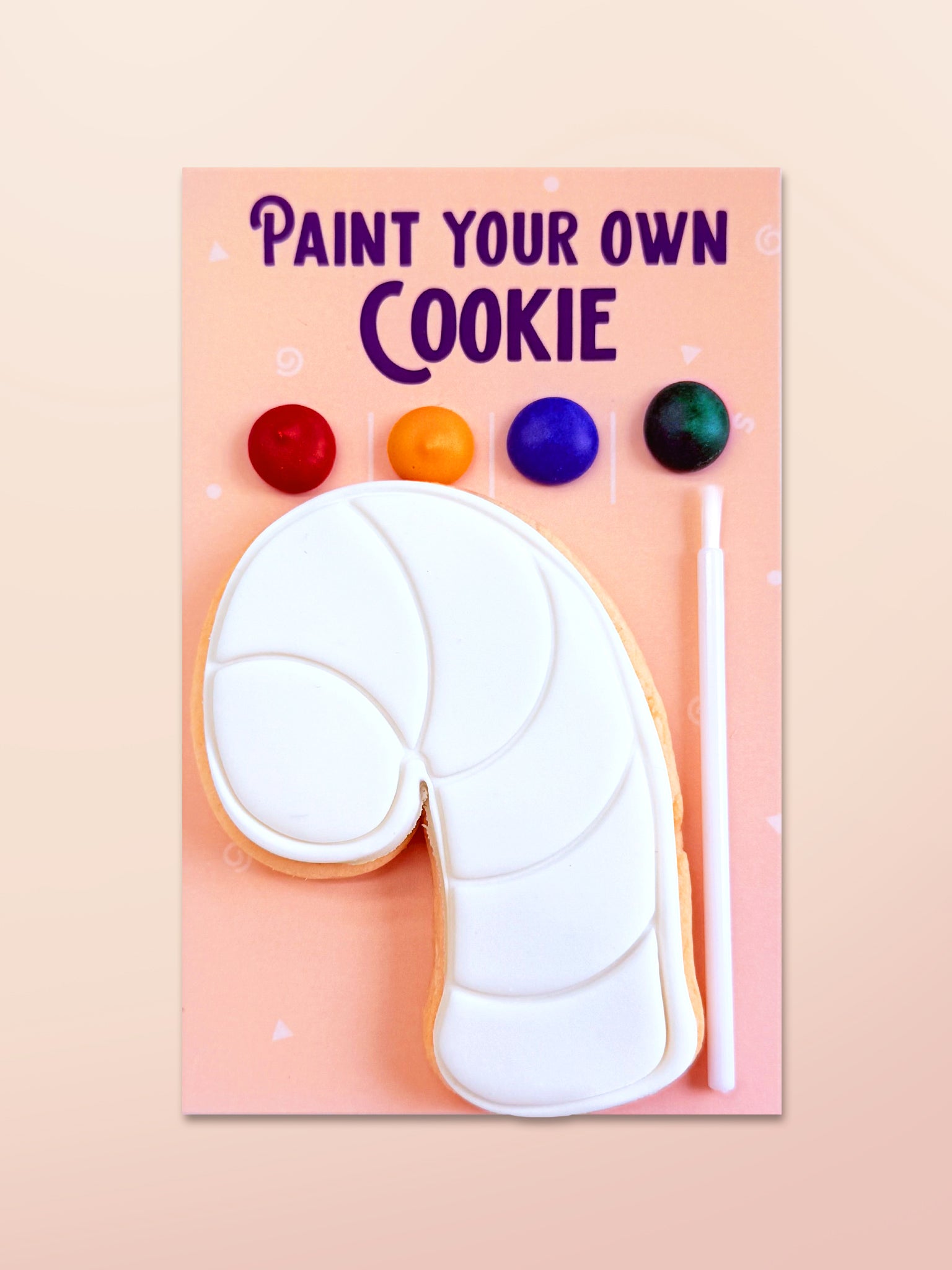 Paint Your Own Christmas Cookies | Cookie Decorating Activity for Kids On School Holiday