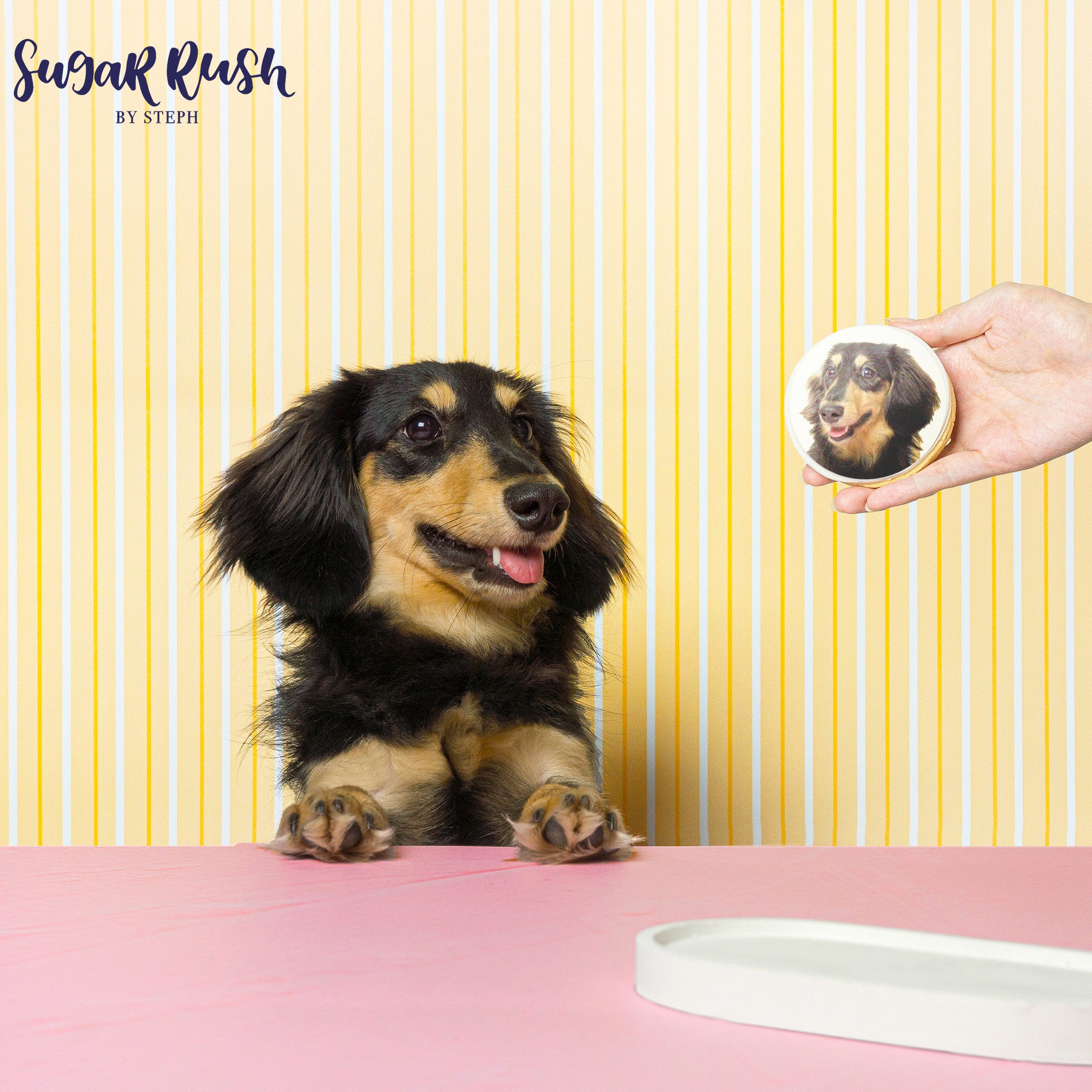 Printed Photo Cookies | Best Gift Idea For Friends & Families Sugar Rush by Steph Australia Sugar Rush by Steph