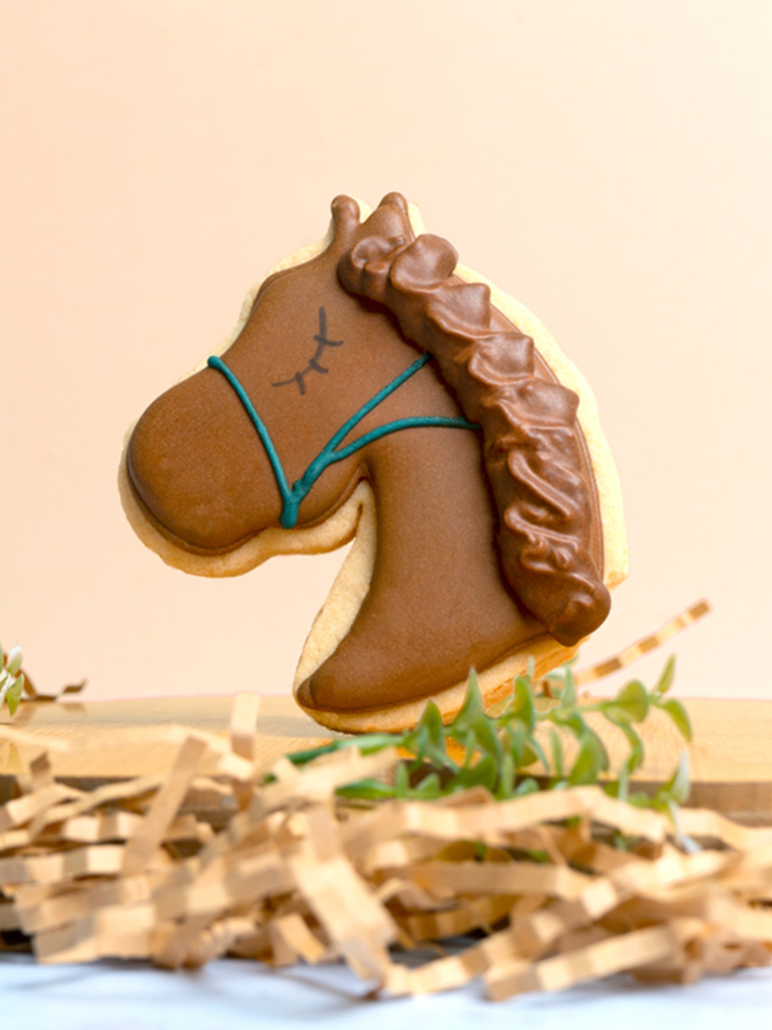 Horsin' Around | Equestrian Theme Event Horse Cookie Gifts - Sugar Rush by Steph