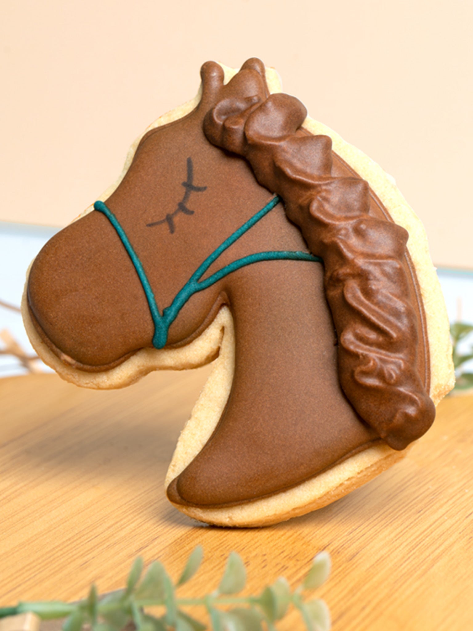 Horsin' Around | Equestrian Theme Event Horse Cookie Gifts - Sugar Rush by Steph