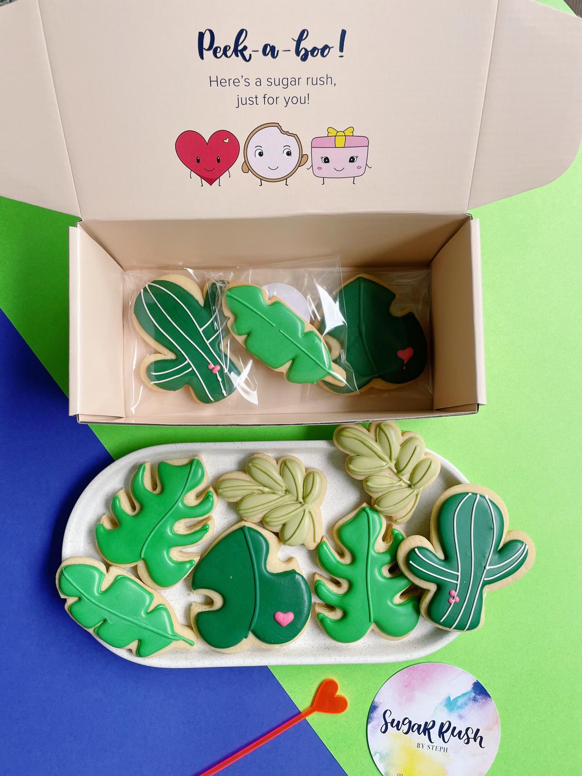 Indoor Plant Lover Pack | Plant Theme Cookies for A Green Thumb