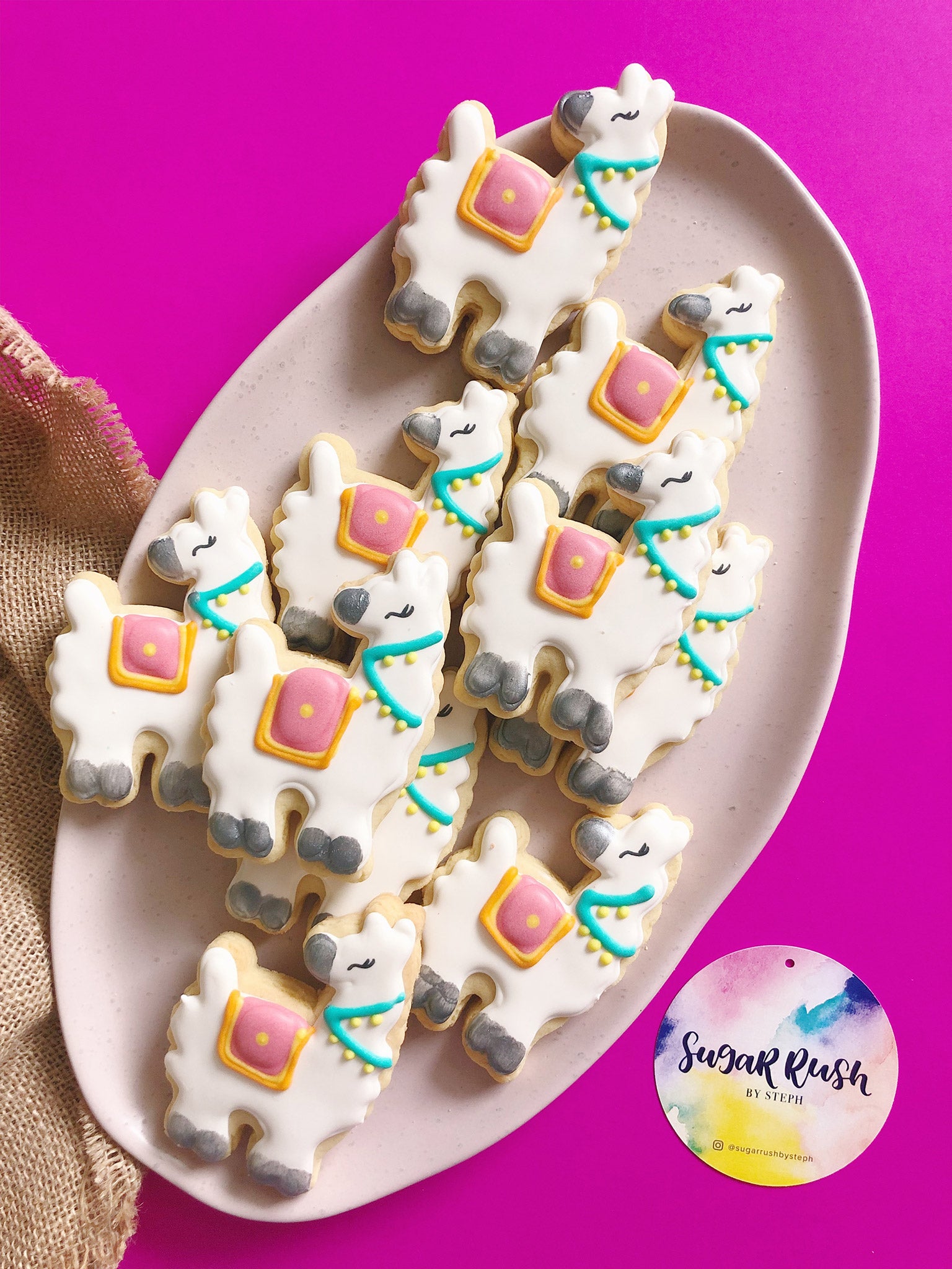 You are Llamazing! | Festive Alpaca Cookies for Event Parties