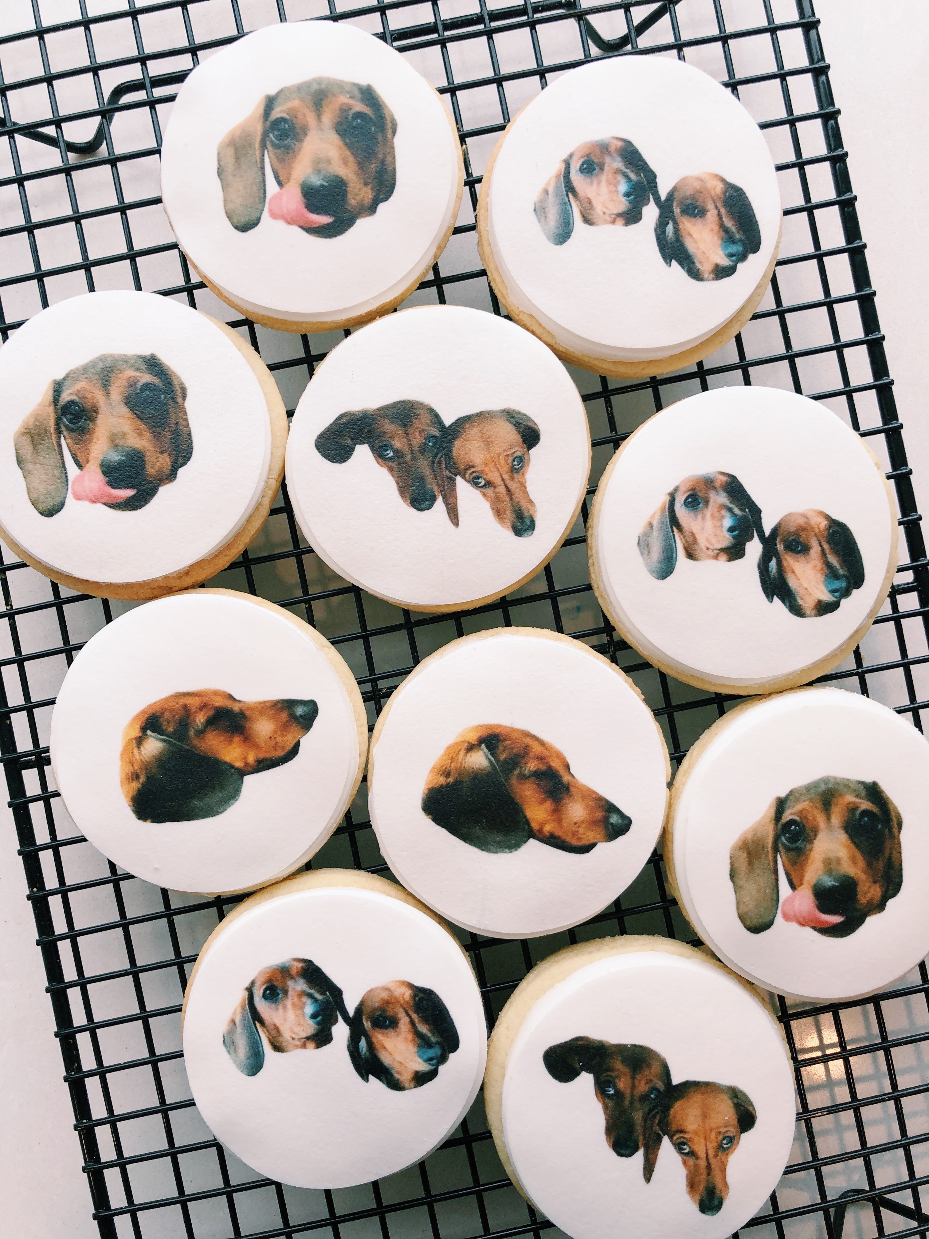 Personalise your own photo! - Sugar Rush by Steph Sugar Rush by Steph